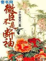 微臣不是断袖