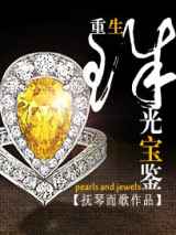 重生之珠光宝鉴