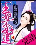 王妃不好追