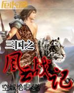 三国之风云战记