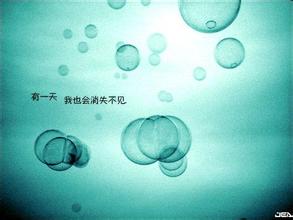 我的时空，你的世界