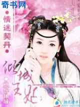 情迷契丹：倾城王妃