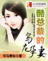 酷总裁的乌龙孕妻