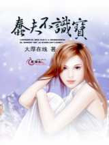 蠢夫不识宝