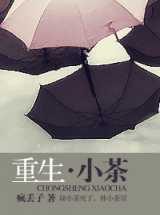 重生˙小茶