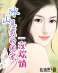 冰山总裁的圈宠:一夜欢情