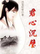 君心沉璧