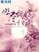 燃尽相思寸寸灰