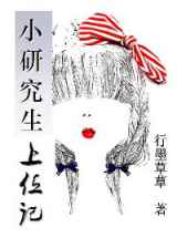 小研究生上位记