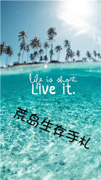 荒岛生存手记