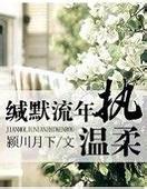缄默流年执温柔