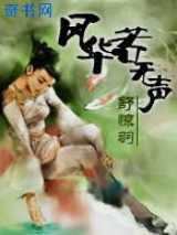 风华若无声