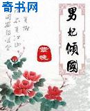 男妃倾国