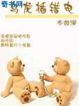乌龙插错电