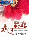 彦过留痕
