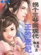 拐个王爷回现代：王的宠妃