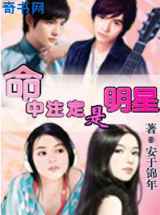 锦年如歌