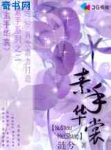 素手华裳