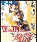 霸道丫鬟:压倒太子爷