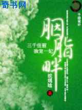 佳丽三千独宠一妃:胭脂畔