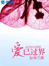 爱已过界