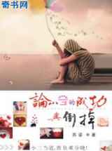 论小三的成功与倒掉