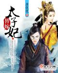 替嫁太子妃（作者：唐优优）