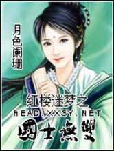 红楼迷梦之国士无双