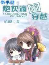 炮灰滴囧穿越