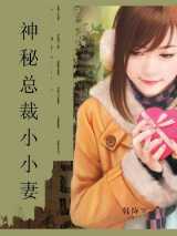 神秘总裁小小妻