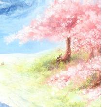 Summer流光