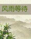 风雨等待